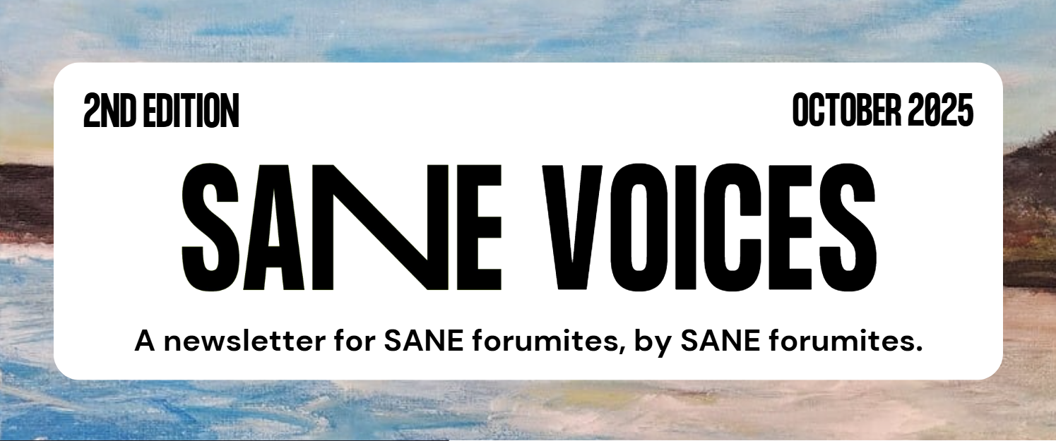SANE Voices Newsletter - Edition #2